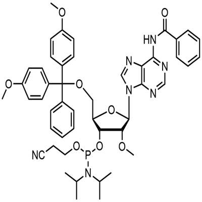 2’-ও-মিথাইল-আরএ (এন-বিজেড) ফসফরামিডাইট