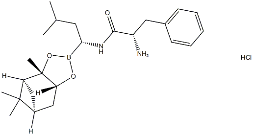 Bortezomib মধ্যবর্তী II