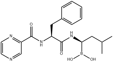 বোর্তেজোমিব