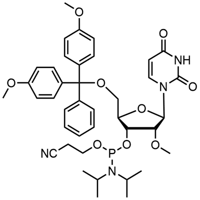 DMT-2'O-মিথাইল-আরইউ ফসফোরামিডাইট
