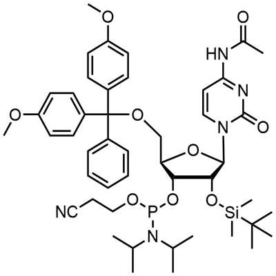 DMT-2′O-TBDMS-rC(ac) ফসফরামিডাইট