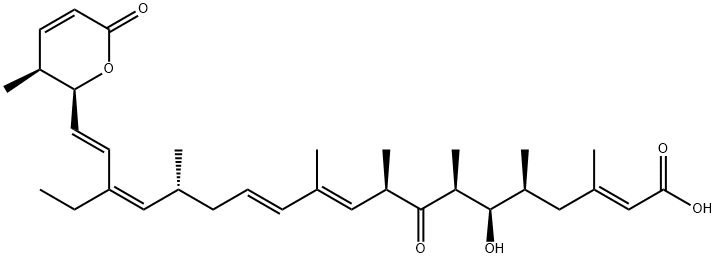 লেপটোমাইসিন বি