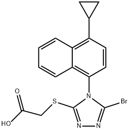 প্রশিক্ষণ কোর্স