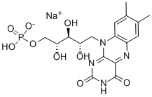 রিবোফ্লাভিন 5'-মনোফসফেট সোডিয়াম লবণ