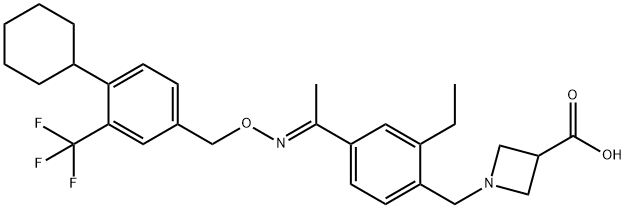 সিপোনিমোড